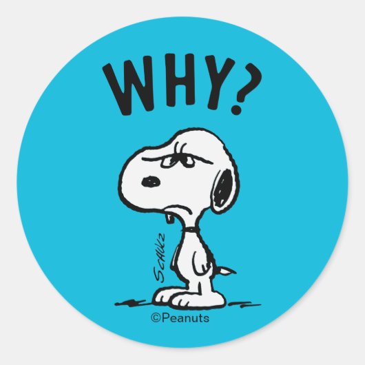 Sticker Rond cacahuètes | Snoopy Se Demande Pourquoi ? (Devant)