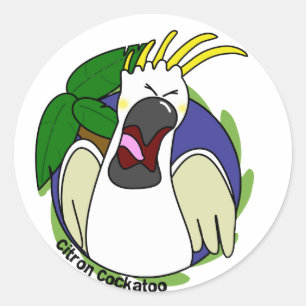 Sticker Rond Cacatoès criard drôle de Citron