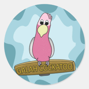 Sticker Rond Cacatoès de Galah de bande dessinée