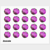 Sticker Rond Cactus de Noël rose (Feuille)