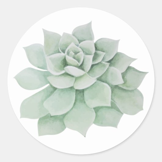Sticker Rond Cactus Succulent vert de la menthe florale (Devant)