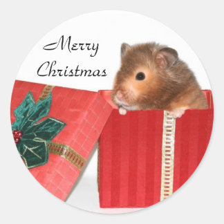 Sticker Rond cadeau de Noël Hamster