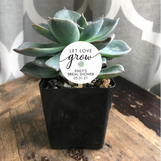 Sticker Rond Cadeau de succulente pour douche nuptiale