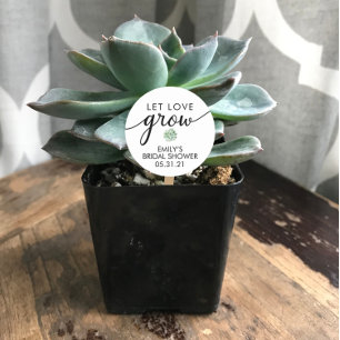 Sticker Rond Cadeau de succulente pour la FÊTE de mariage
