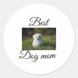 Sticker Rond Cadeau simple et coloré d'animal avec nom photo ch