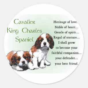 Sticker Rond Cadeaux Cavalier King Charles Spaniel