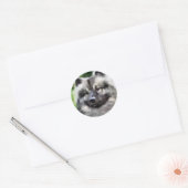 Sticker Rond Cadeaux d'art Keeshond (Enveloppe)