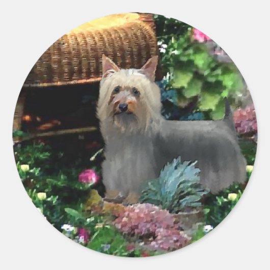 Sticker Rond Cadeaux d'art Silky Terrier (Devant)