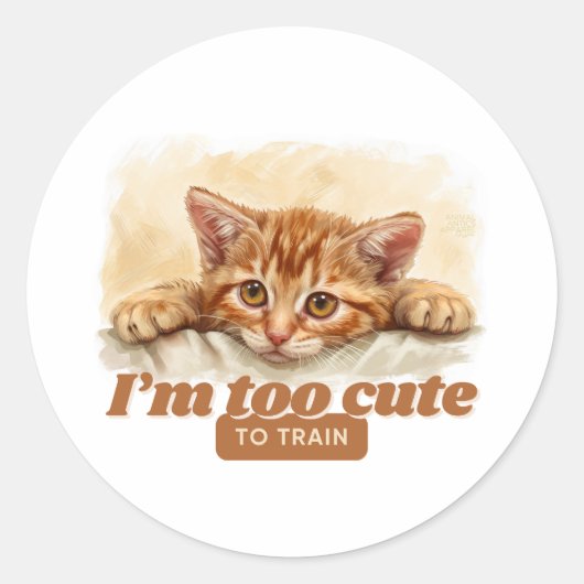 Sticker Rond Cadeaux de chats pour Amoureux des animaux (Devant)