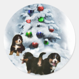 Sticker Rond Cadeaux de Noël de chien de montagne de Bernese