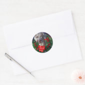 Sticker Rond Cadeaux de Noël Weimaraner (Enveloppe)