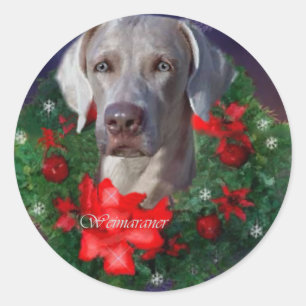 Sticker Rond Cadeaux de Noël Weimaraner