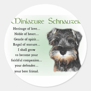Sticker Rond Cadeaux de Schnauzer miniature