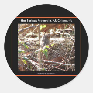 Sticker Rond Cadeaux de Tamia de la Montagne de Hot Springs, Ar