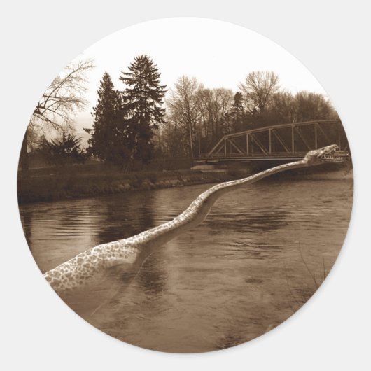 Sticker Rond Cadeaux Elasmosaurus (Devant)