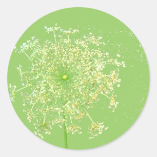Sticker Rond Cadeaux et Faveurs de la Lace de la Reine Anne