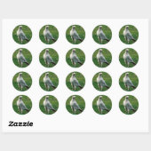 Sticker Rond Cadeaux Rare White Raven (Feuille)