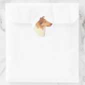 Sticker Rond Cadeaux Smooth Collie (Sac)