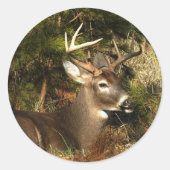 Sticker Rond Cade's Cove Buck (Devant)