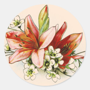 Sticker Rond Cadre géométrique avec Mariage de Lys tropicaux