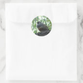 Sticker Rond caille mâle (Sac)