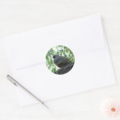 Sticker Rond caille mâle (Enveloppe)