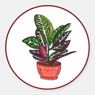 Sticker Rond Calathea Hand Drake Houseplant Art