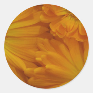 Sticker Rond Calendula