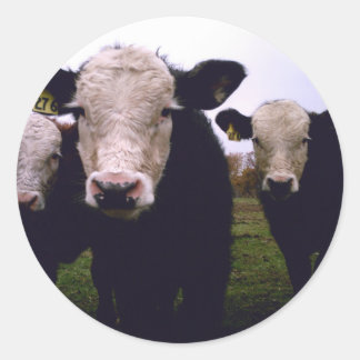 Sticker Rond Calf Trio