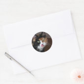 Sticker Rond Calico Cat (Enveloppe)