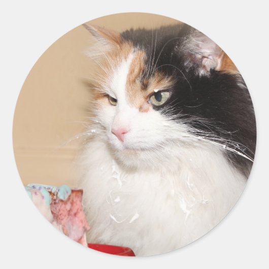 Sticker Rond Calico chat mange gâteau d'anniversaire (Devant)