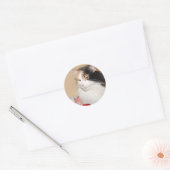 Sticker Rond Calico chat mange gâteau d'anniversaire (Enveloppe)