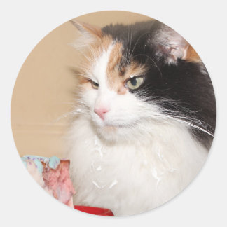 Sticker Rond Calico chat mange gâteau d'anniversaire