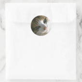 Sticker Rond Calico Tiger (Sac)