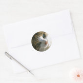 Sticker Rond Calico Tiger (Enveloppe)