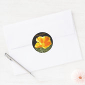 Sticker Rond California Native (Enveloppe)