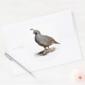 STICKER ROND CALIFORNIE QUAIL (Enveloppe)