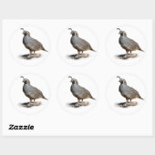 STICKER ROND CALIFORNIE QUAIL (Feuille)