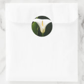 Sticker Rond Calla Lily (Sac)
