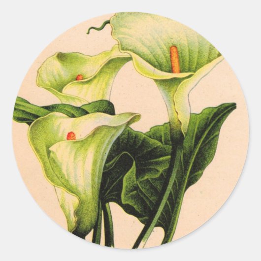 Sticker Rond calla lily (Devant)