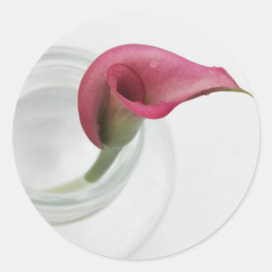 Sticker Rond Calla Lily