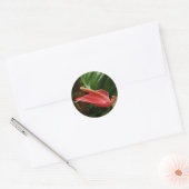 Sticker Rond Calla Rose Lily Élégant Floral (Enveloppe)