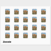 Sticker Rond Camel (Feuille)
