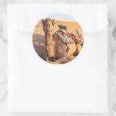 Sticker Rond Camel dans le désert d'Oman (Sac)