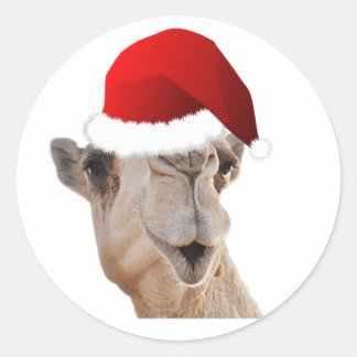 Sticker Rond Camel de la Journée Hump Casquette du Père Noël