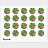 Sticker Rond Caméléon vert (Feuille)