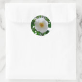 Sticker Rond Camellia blanche (Sac)