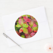 Sticker Rond Canada, Colombie britannique, Mont Robson (Enveloppe)