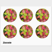 Sticker Rond Canada, Colombie britannique, Mont Robson (Feuille)