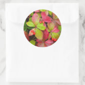 Sticker Rond Canada, Colombie britannique, Mont Robson (Sac)